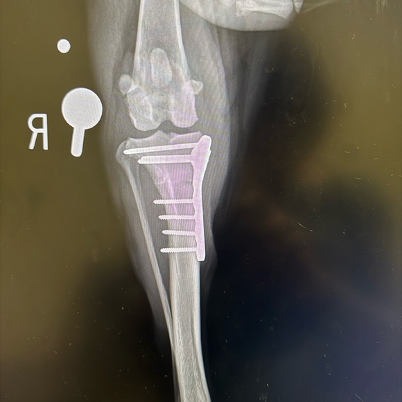 Ally’s @retail_habit: Follow this flyer to be notified 🛍️ - Picture 3 of 6